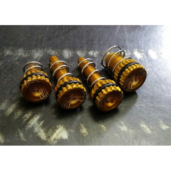 Kit Registri Leve COSTA SPECIAL PARTS (AJP-BRAKTEC) ORO